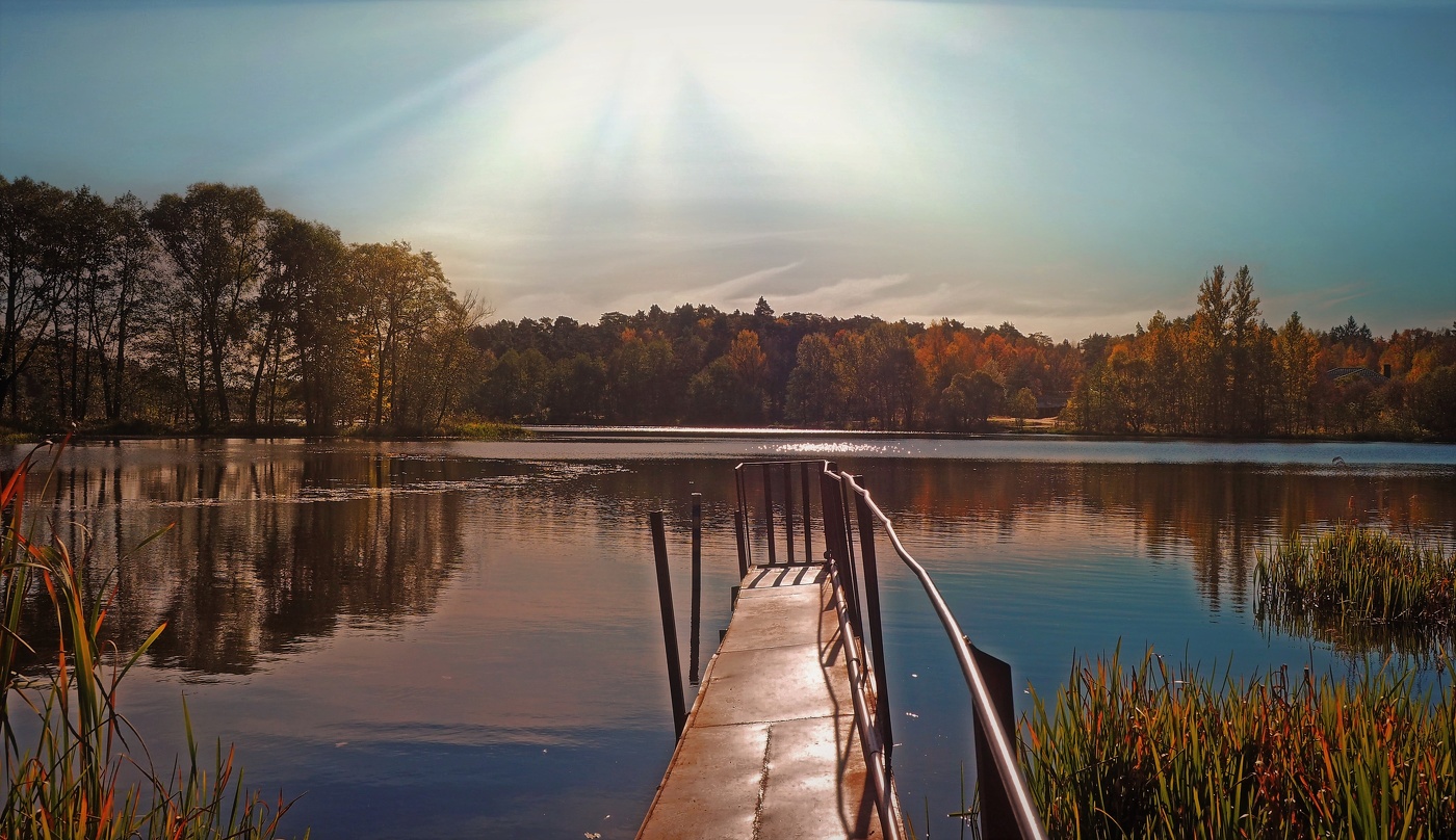 Осенний свет