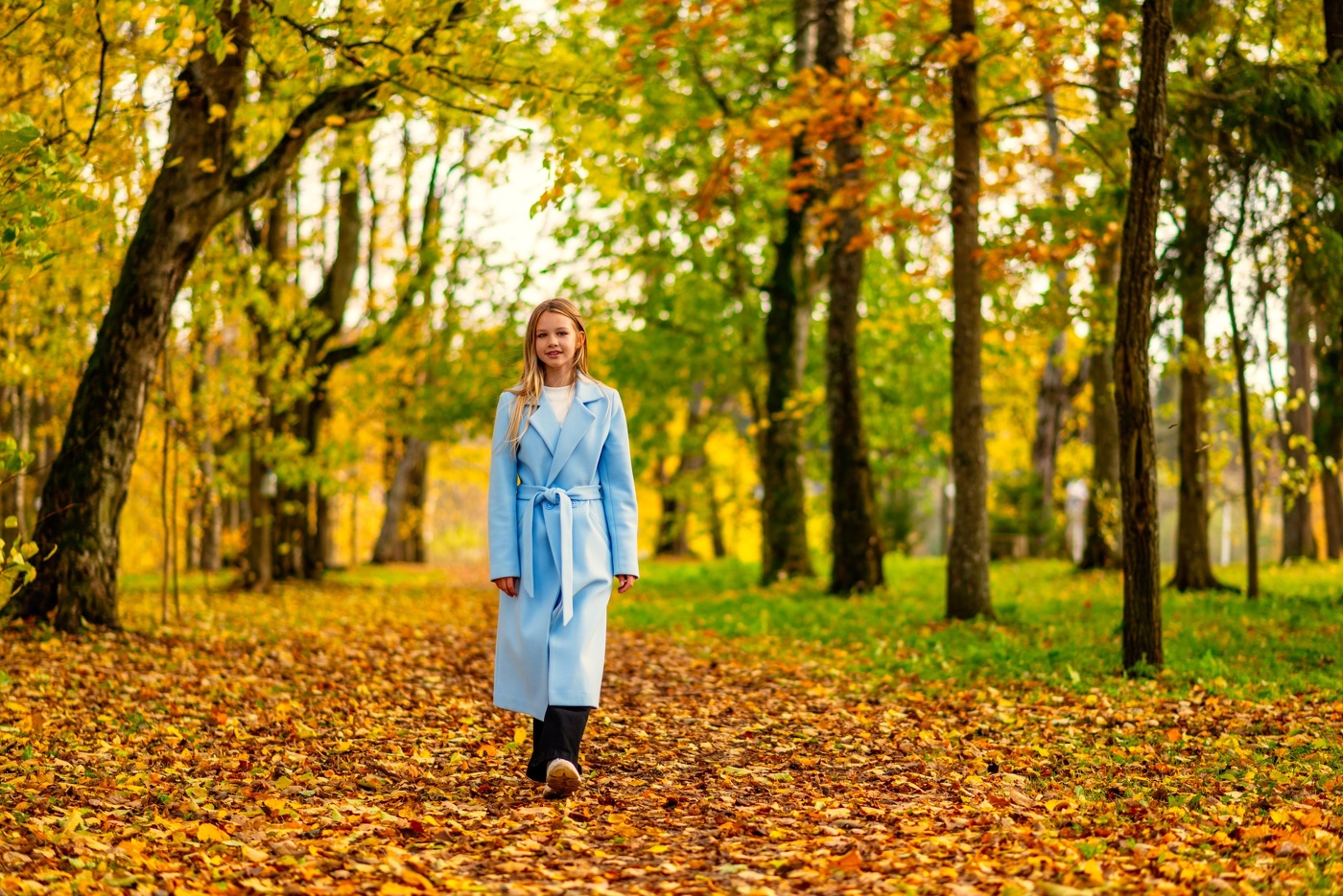 Дворянских гнёзд заветные аллеи