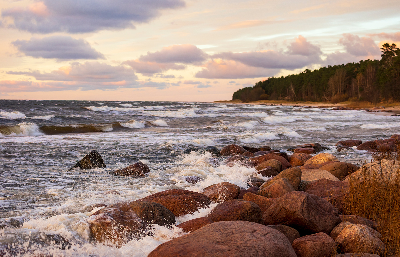 Свежий ветер