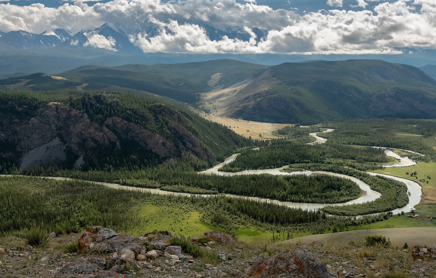 Красавица Чуя