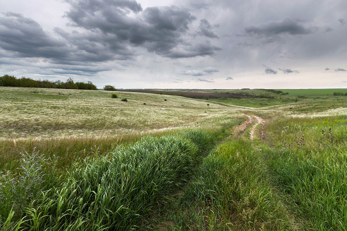 Дорога для души