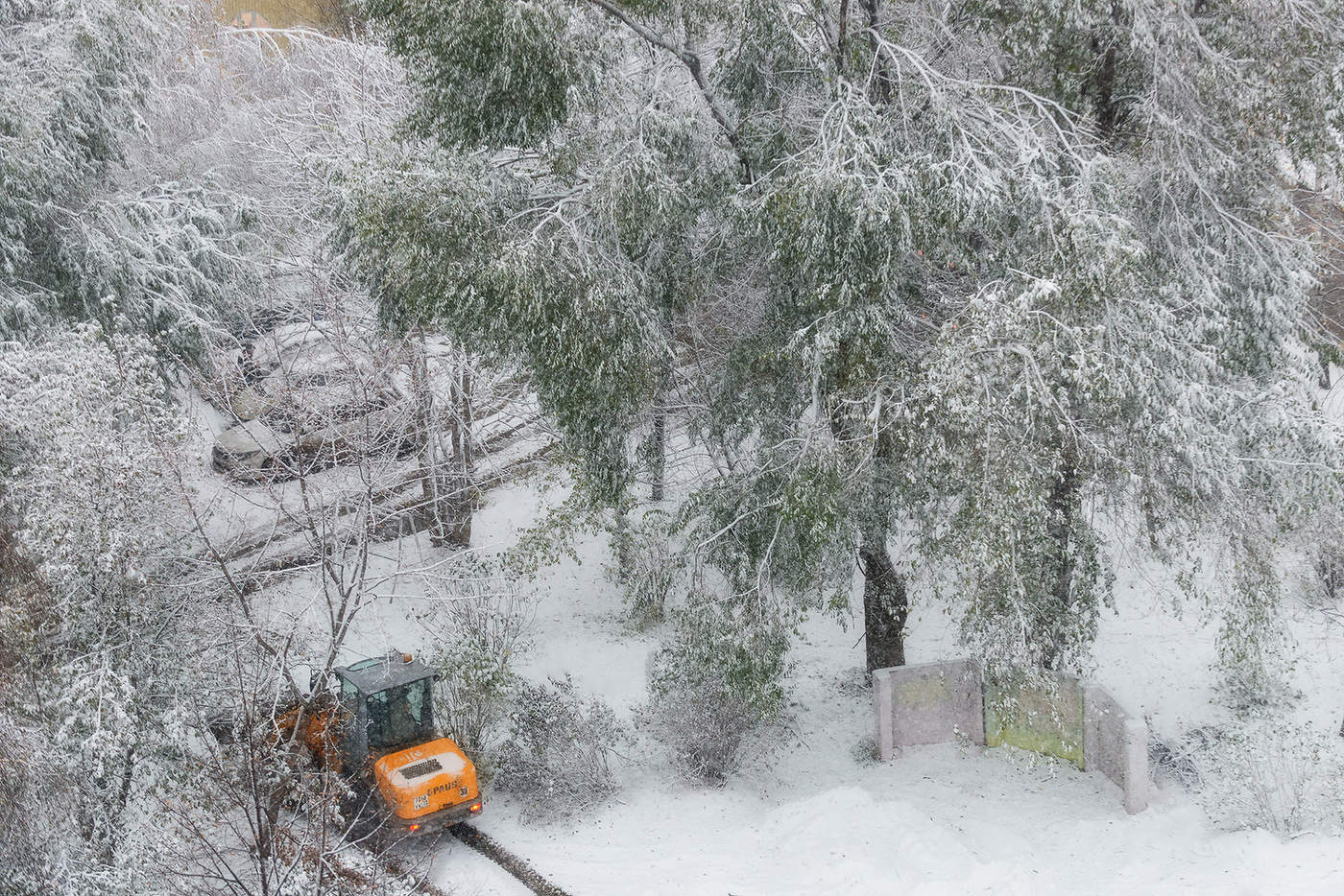 Первый снег...