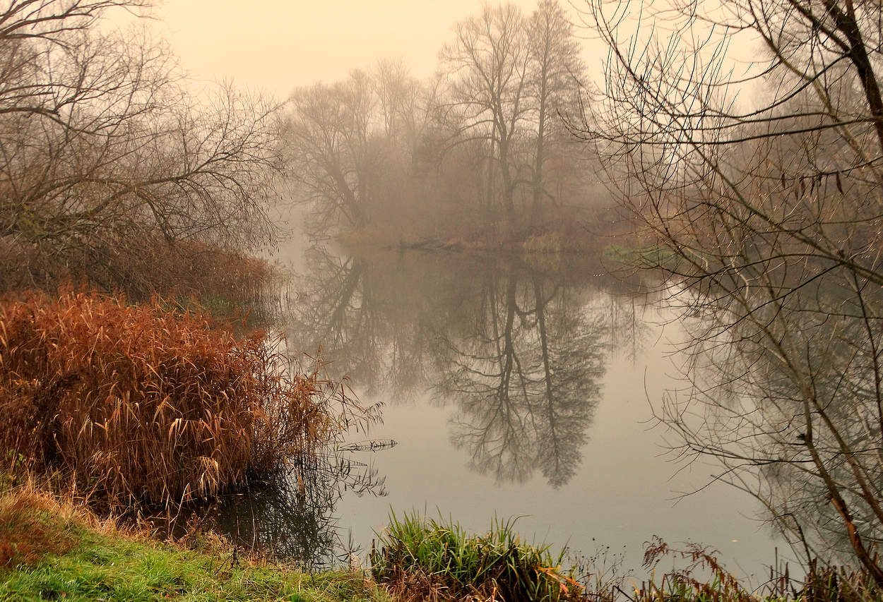 Ноябрьский туман на реке