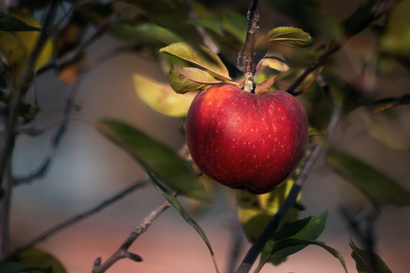 Ноябрьское...