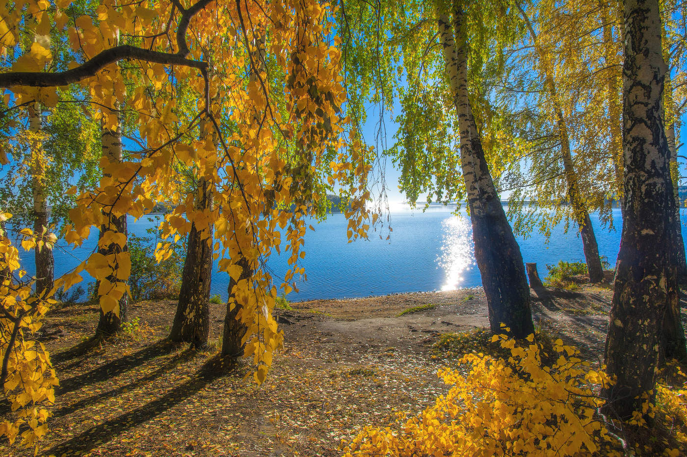 Осеннее золото