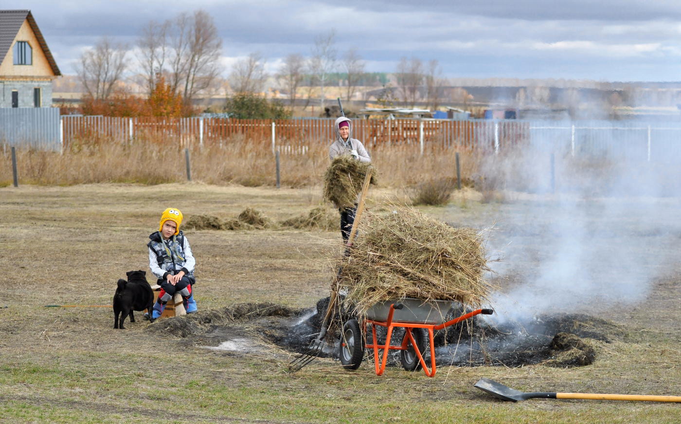 Дела осенние