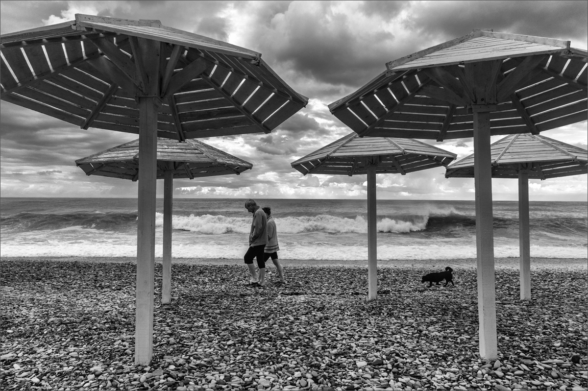 Утренняя прогулка.