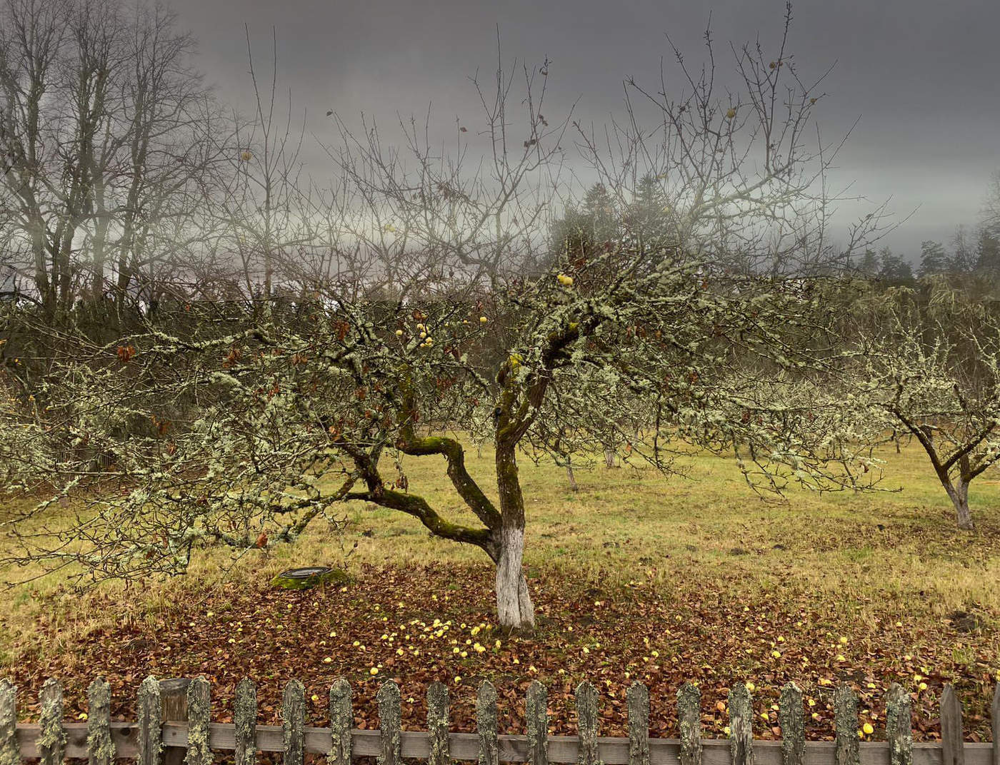 Преддверие зимы