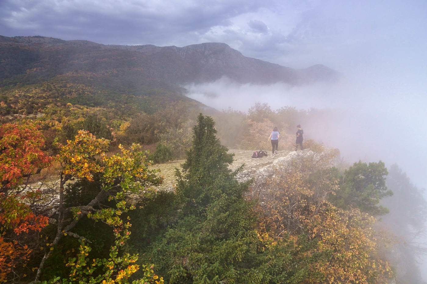 В тумане все не так ...