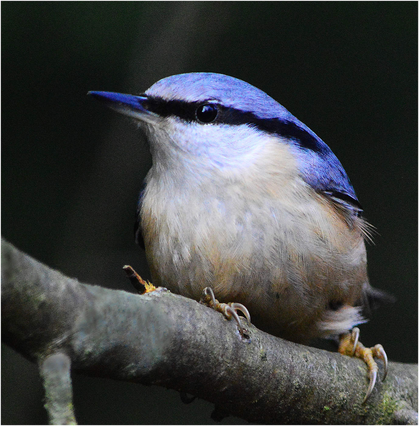 Только одним глазком ...