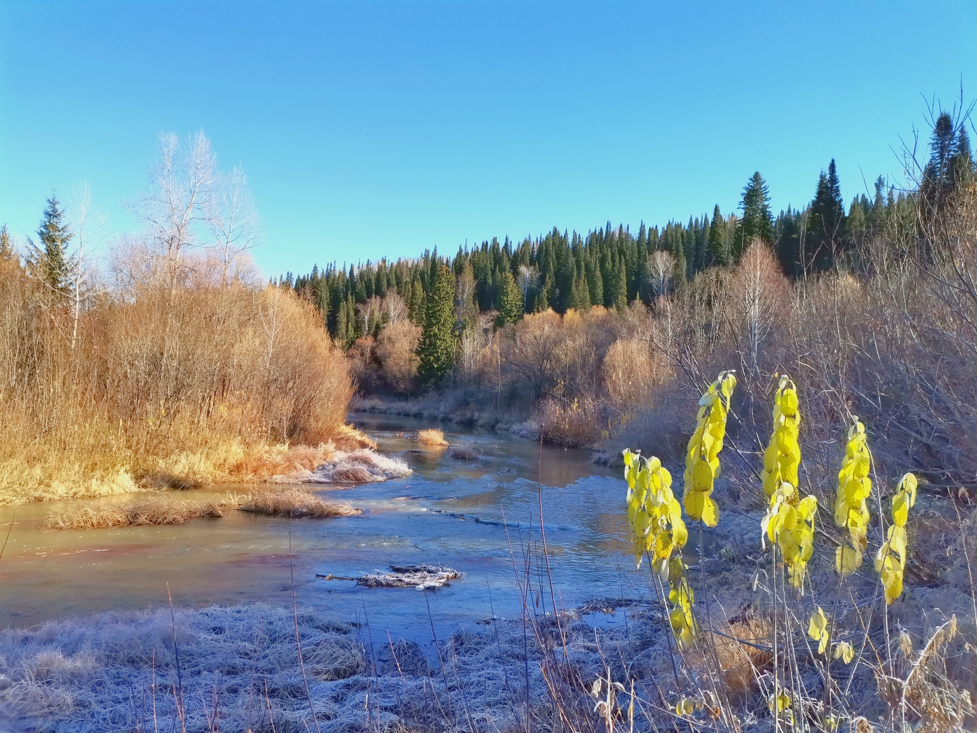 Ранние заморозки