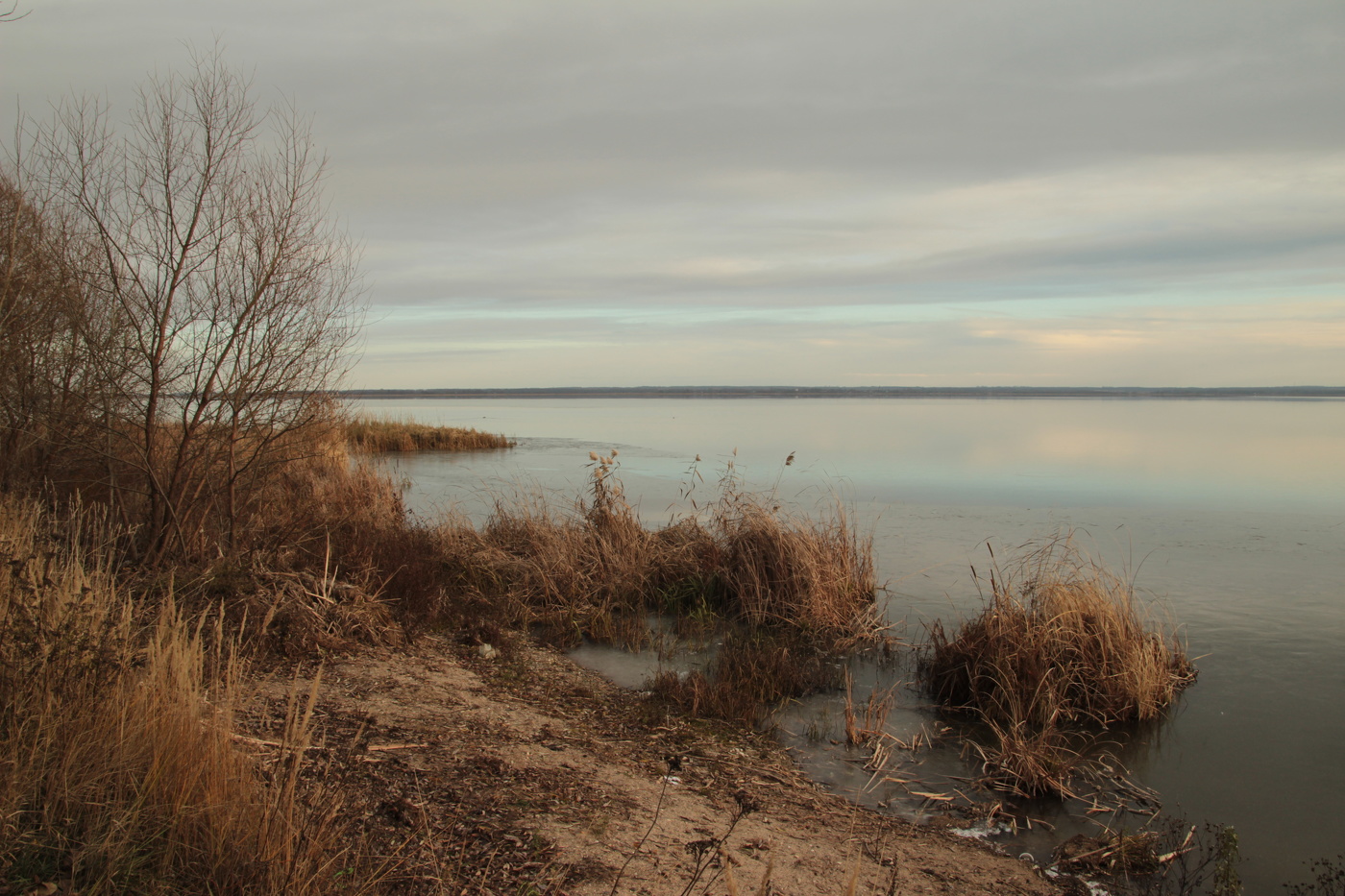 Ноябрьский день