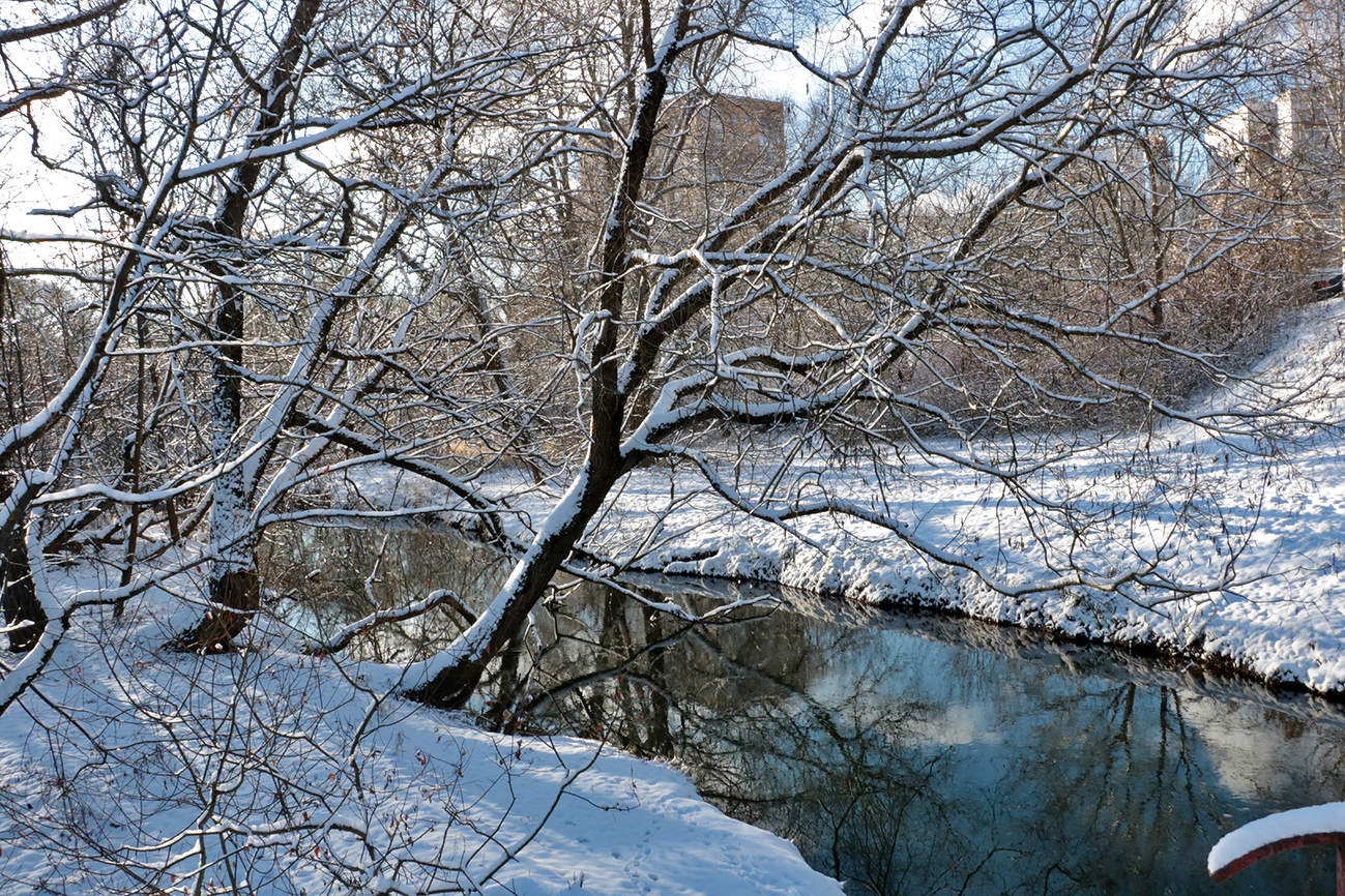 В Подмосковье пришла зима...