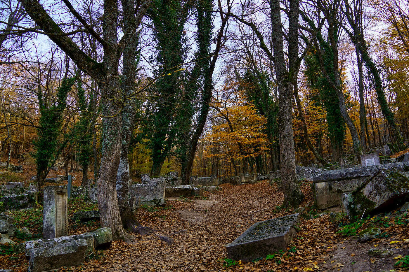 Осень в Иосафатовой долине