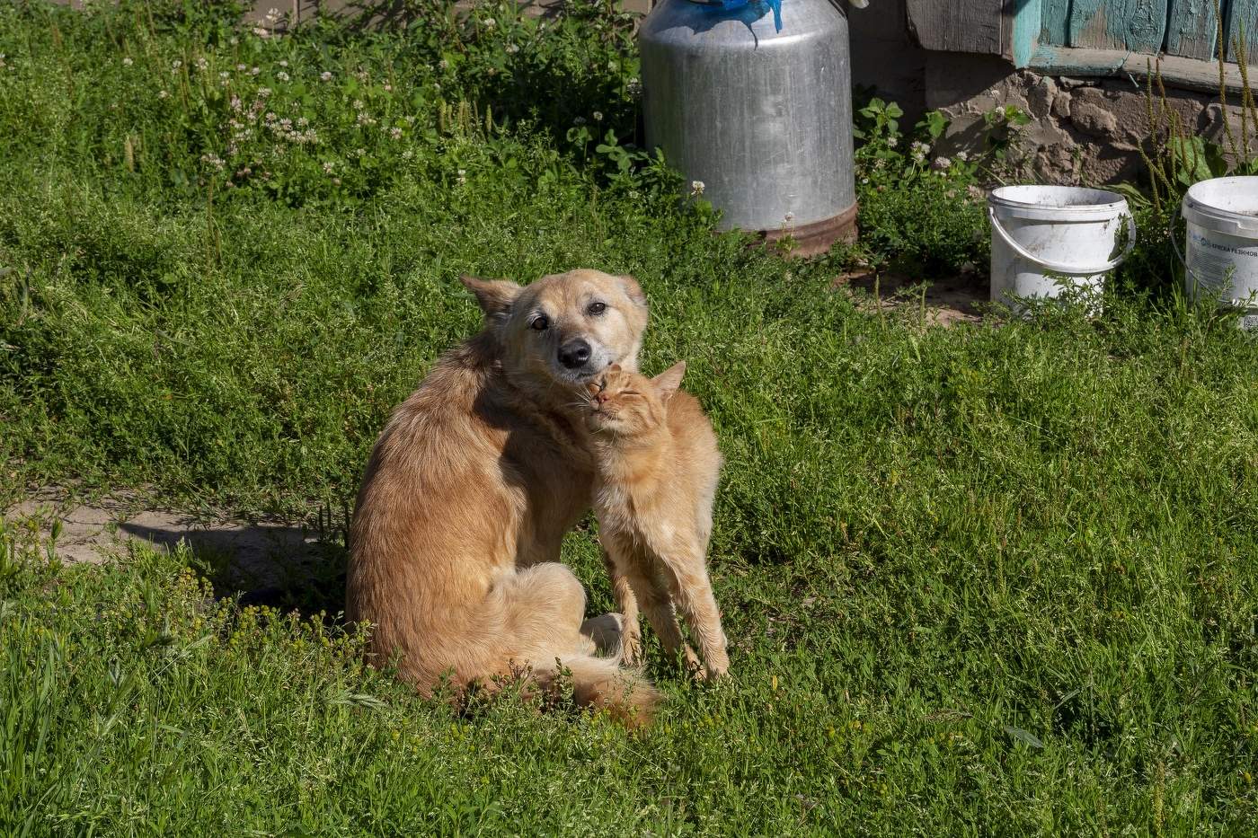 А ты меня любишь? Ага!