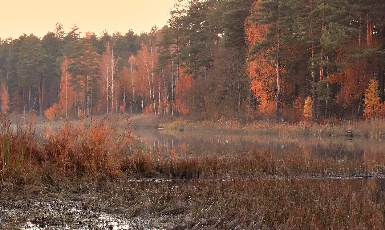 Яркое осеннее настроение