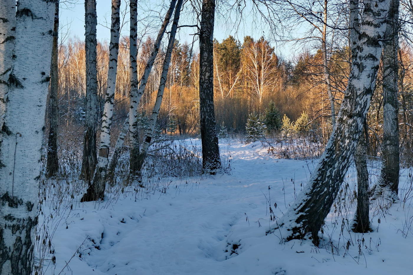 **Начало зимы.*