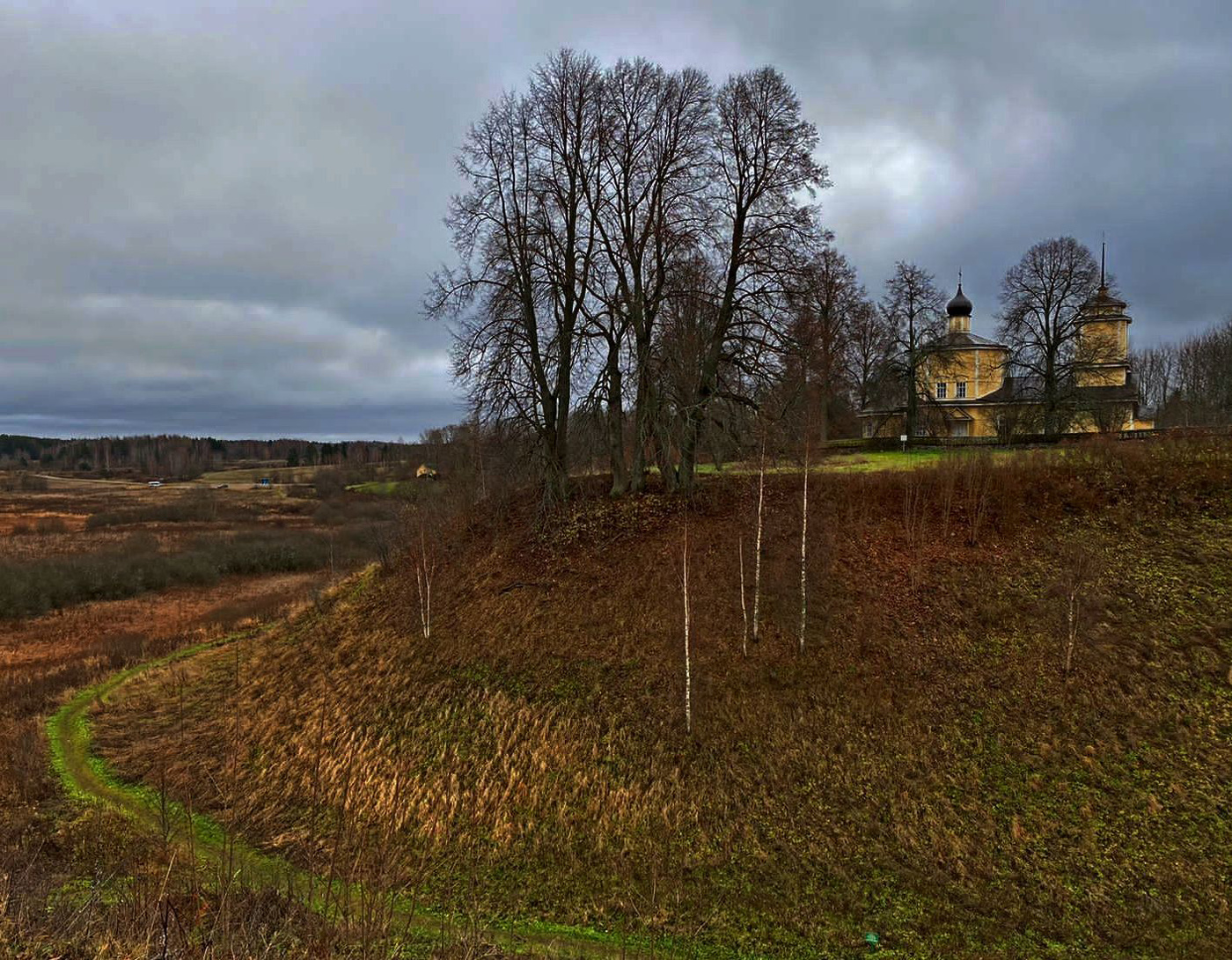 ...грачи улетели...