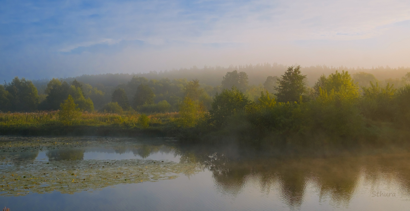 Летним утром.