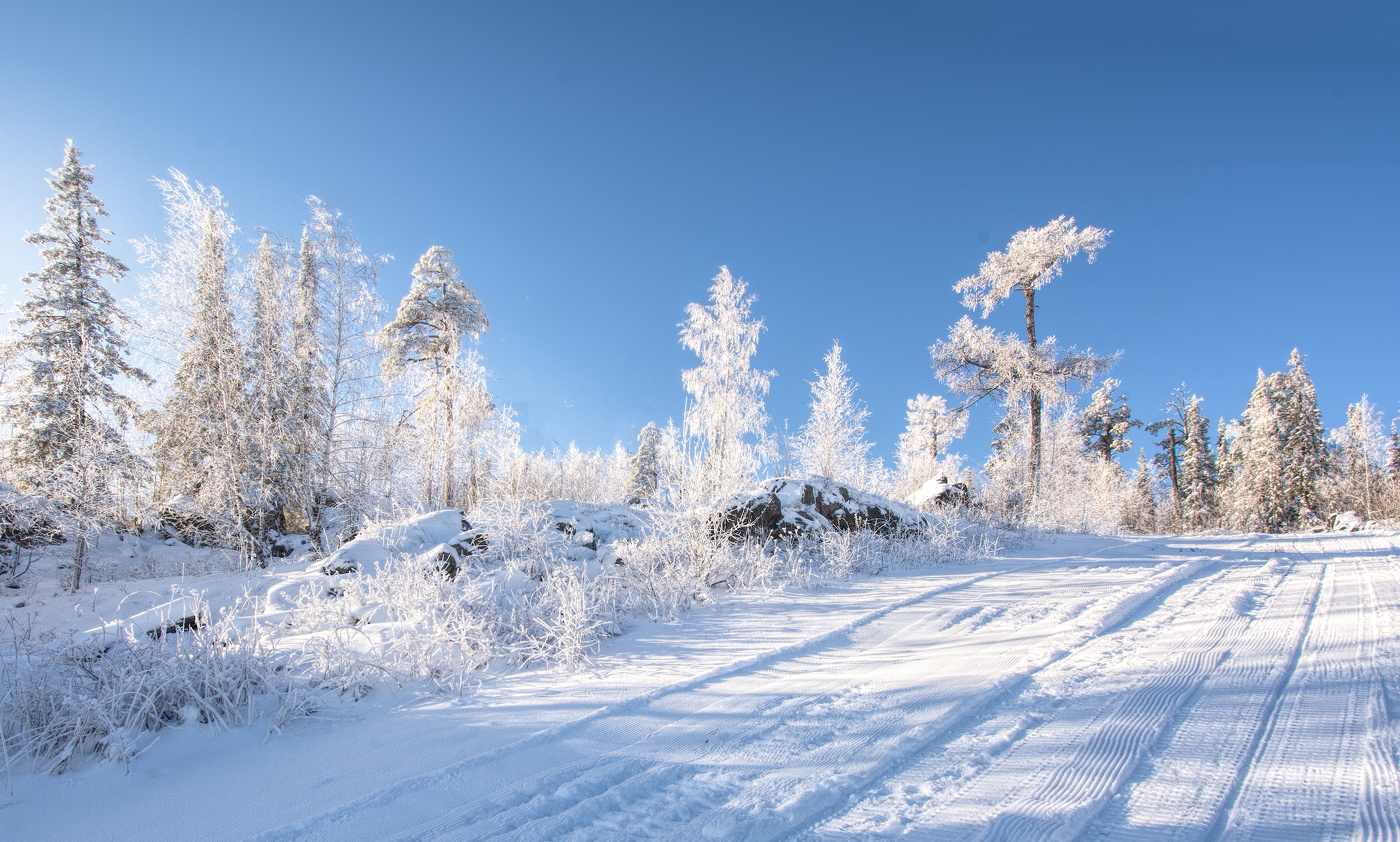 Морозное утро