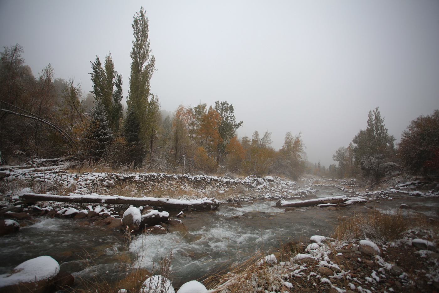 Вероломство зимы