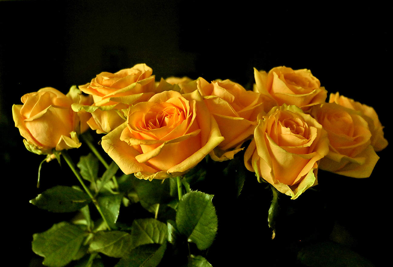 Солнечная красота