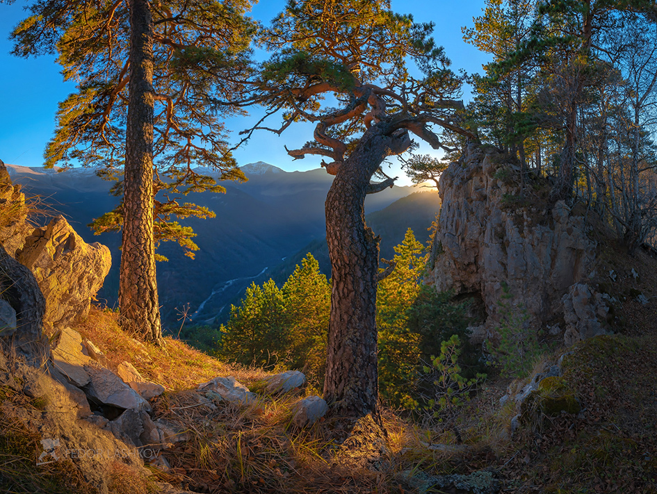 Вечернее тепло