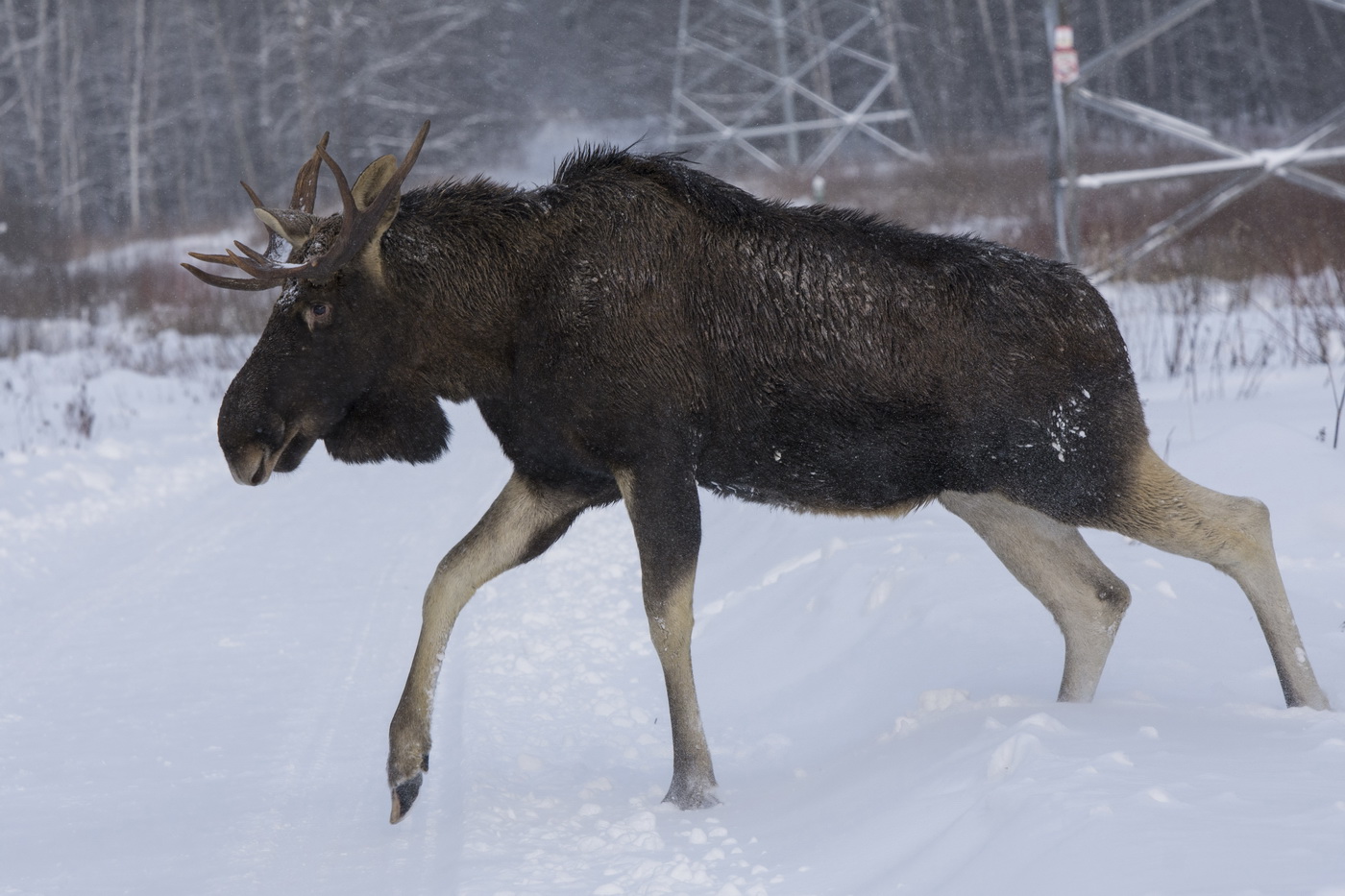 На высоковольтке