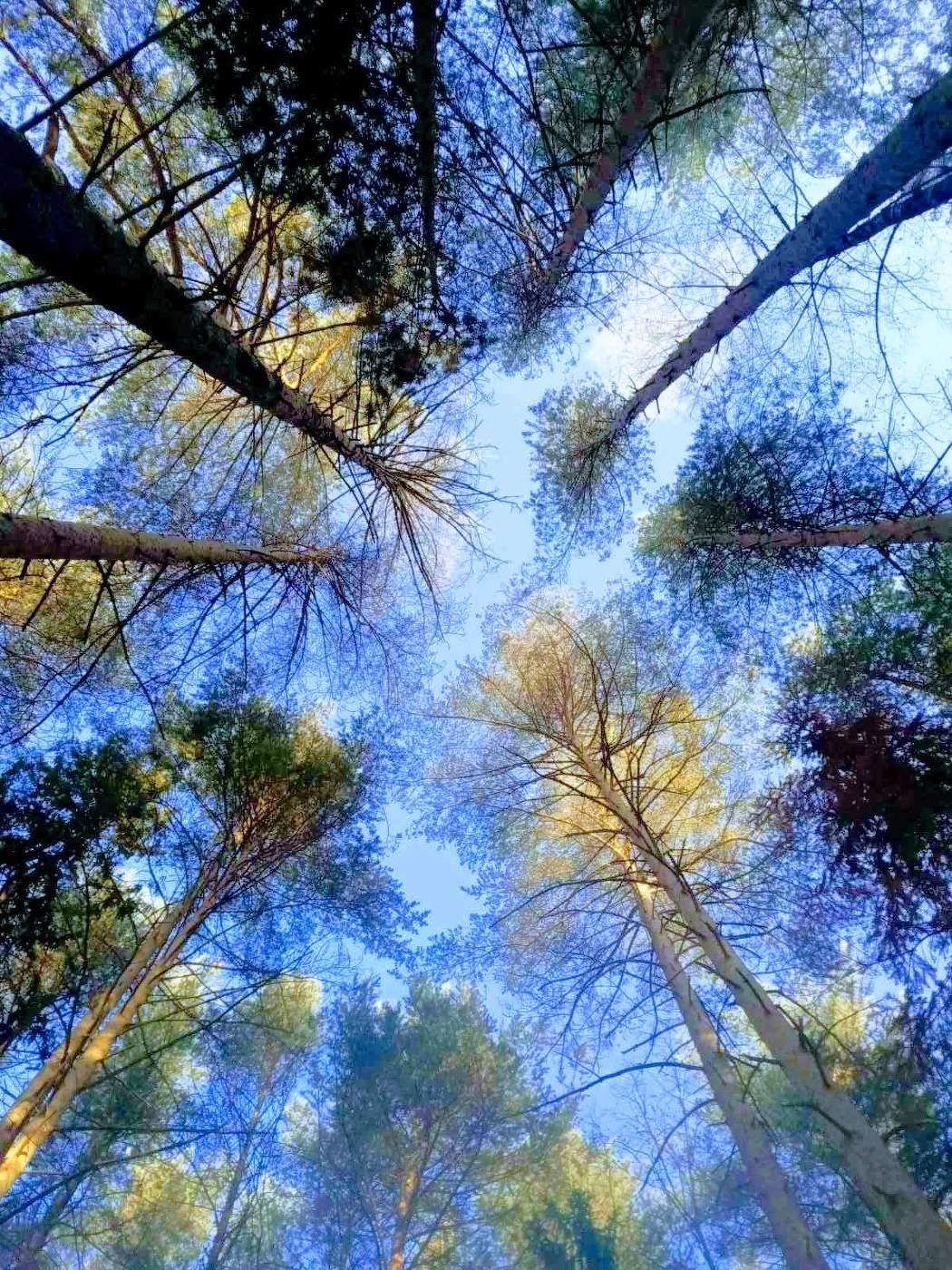 Хорошая погода.