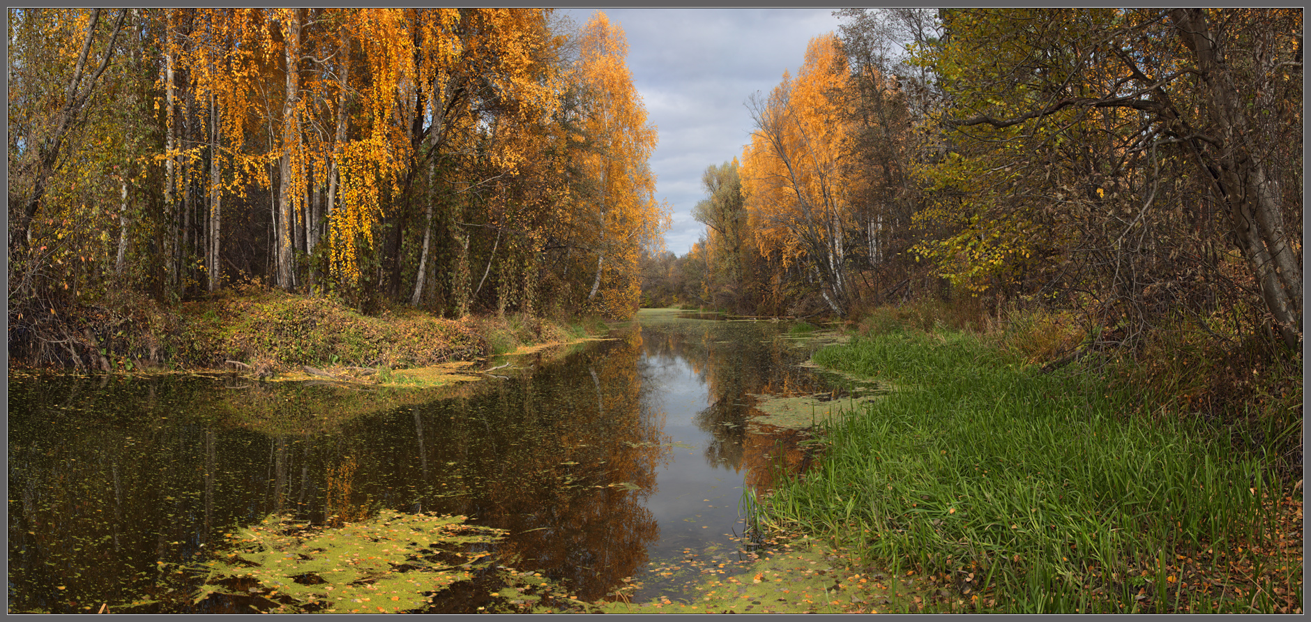 Осенняя тишина