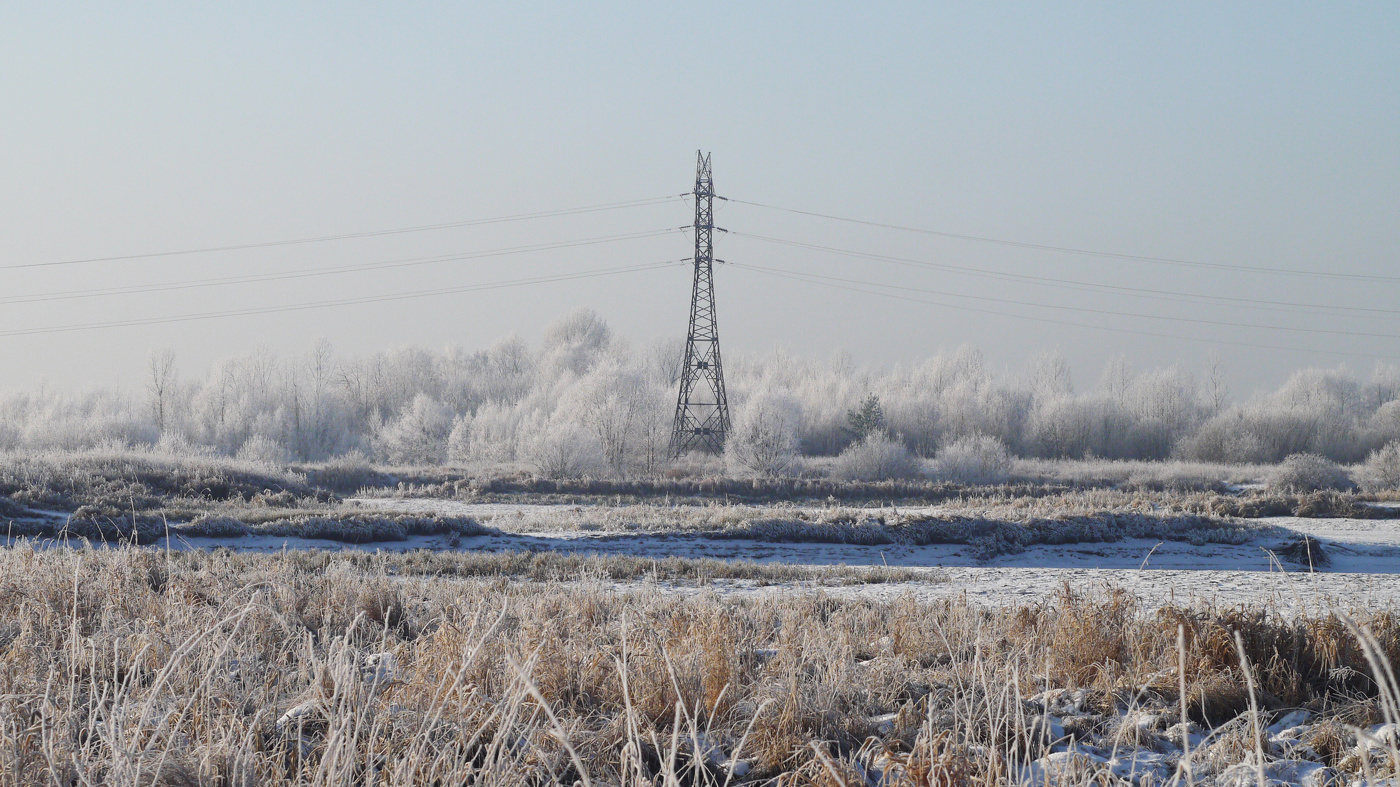 Мороз+электрификация...