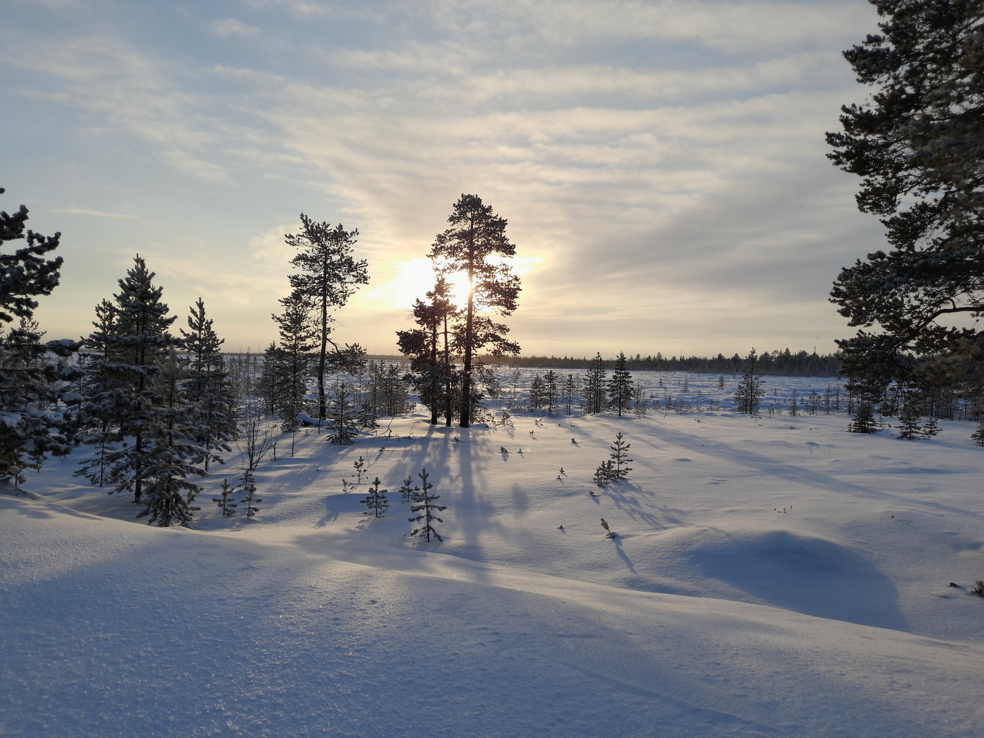 Морозный день.