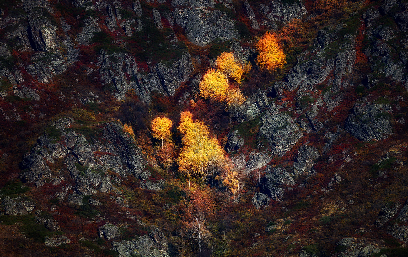 Горное золото