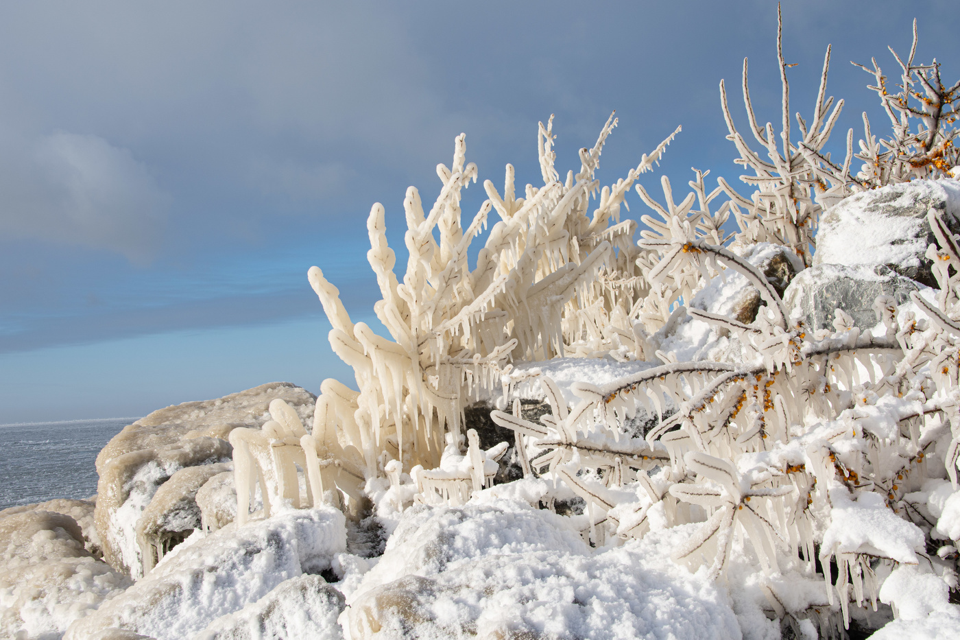 Зима пришла