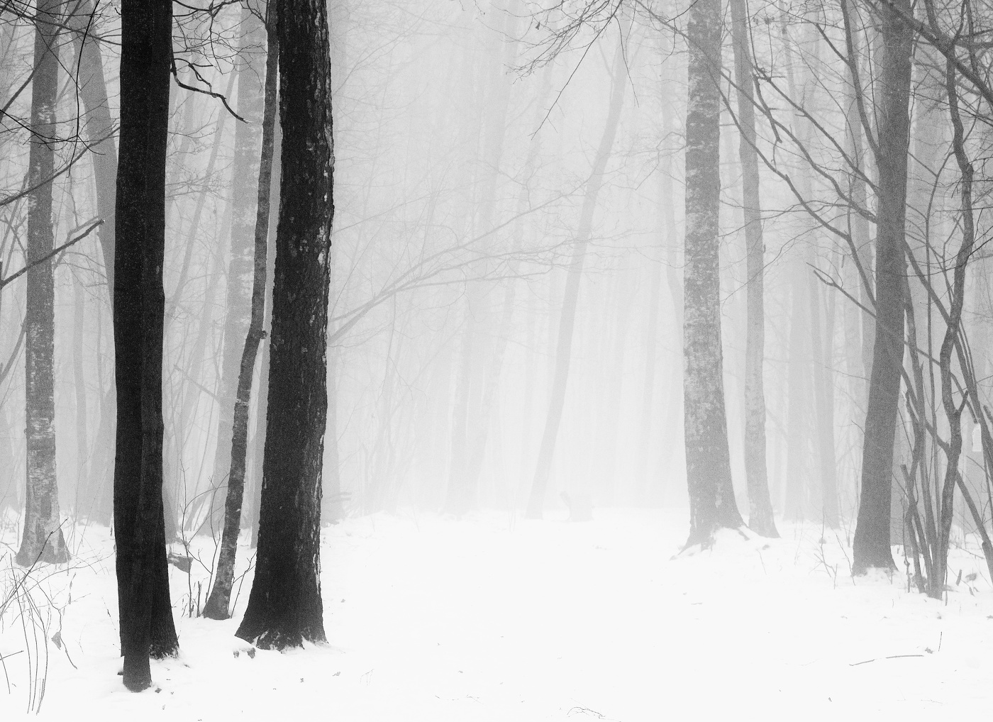 "Зимой в тумане все загадочно уныло ..."