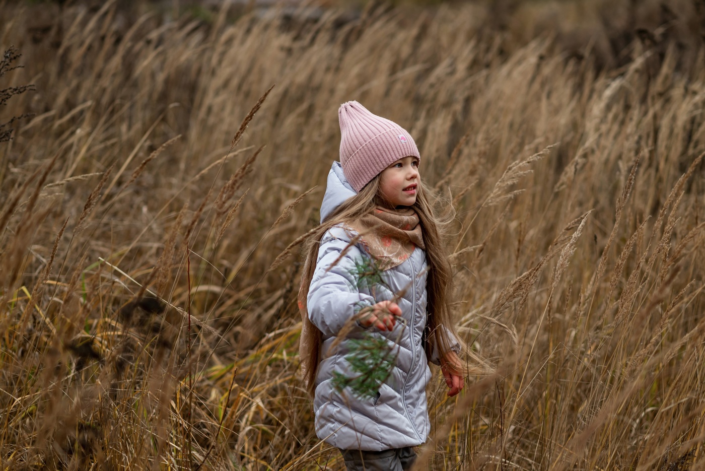 Поздняя осень