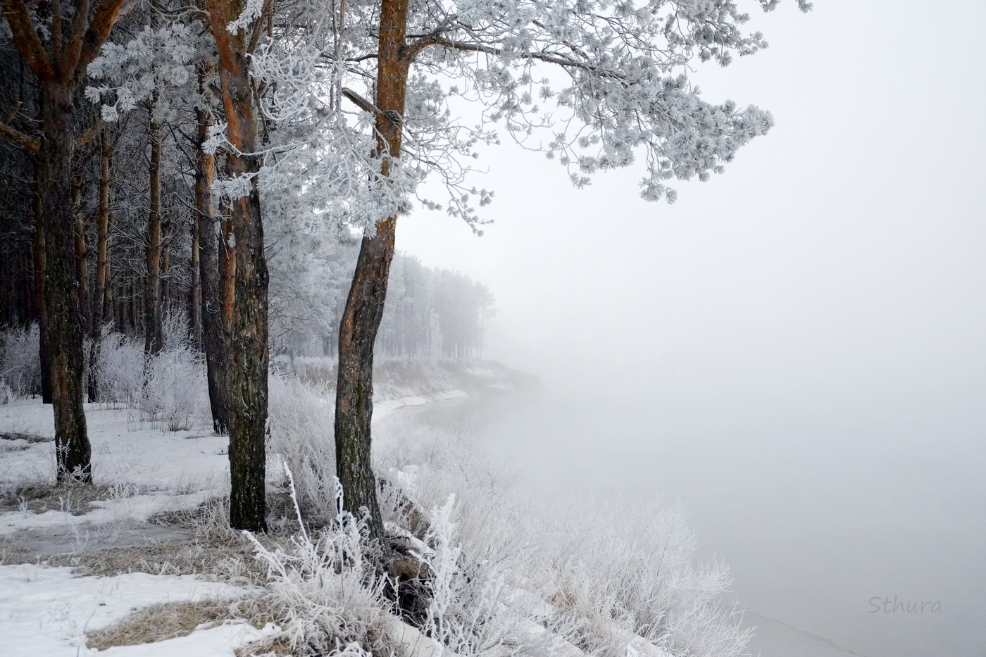 На крутом берегу у Оки.