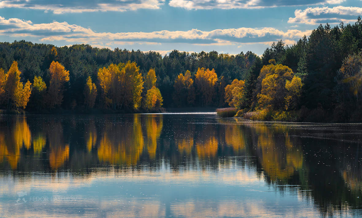 Зазеркалье