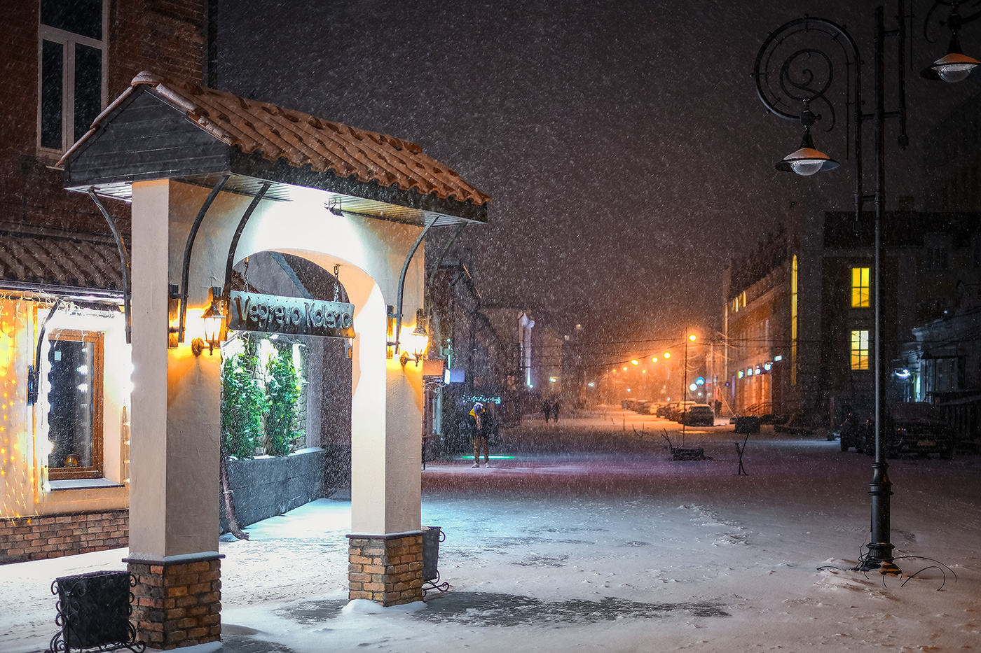 Ночной снег...