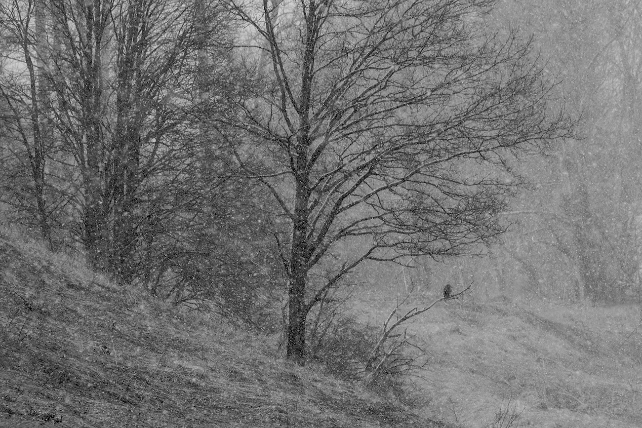 На краю ненастья. Монохром