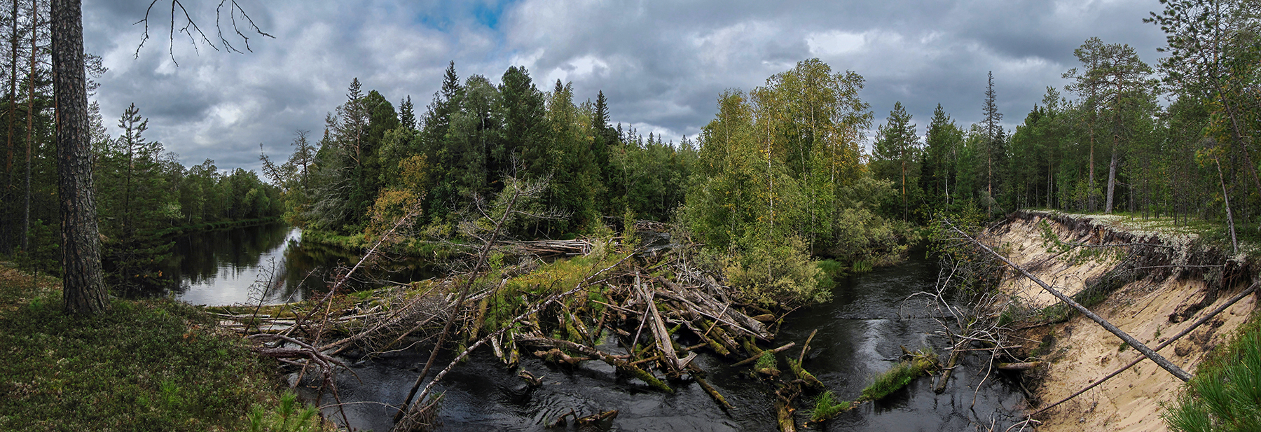 заломы на таёжной речке...