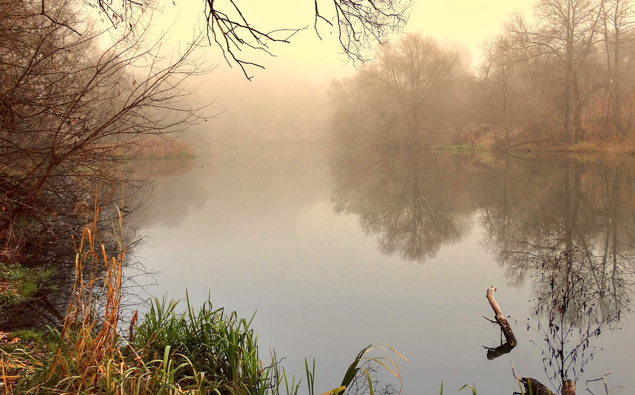 Дневной туман перед похолоданием