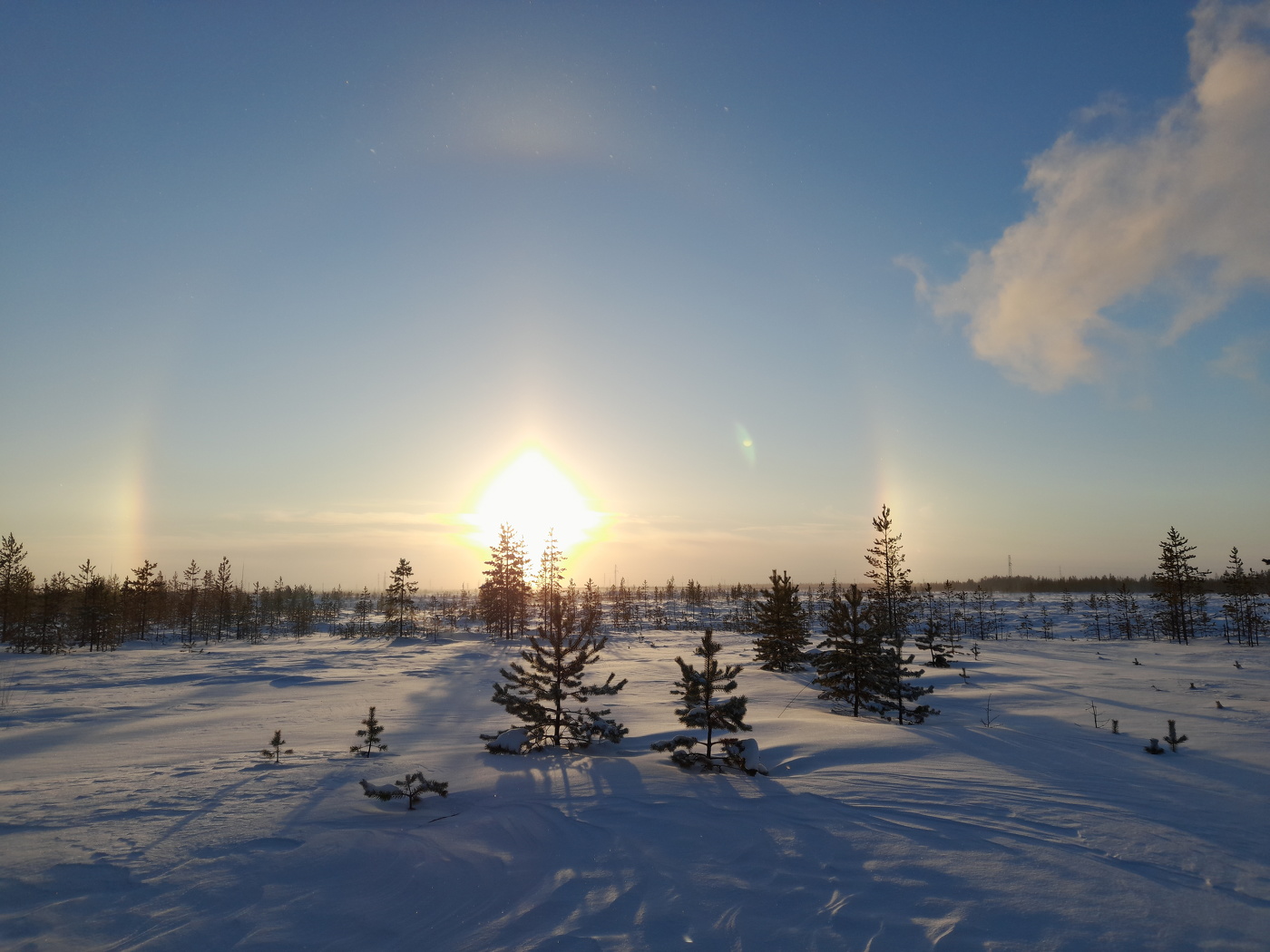Морозное утро. ЯНАО