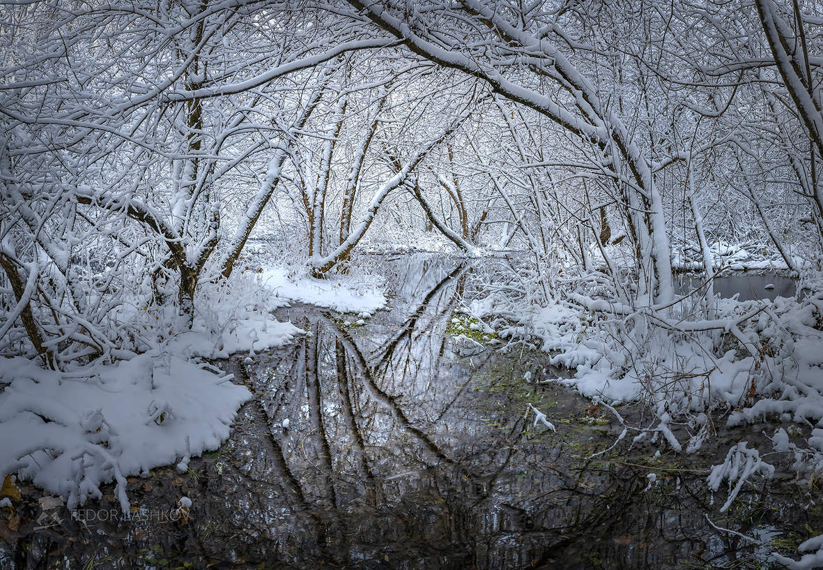 Первый снег