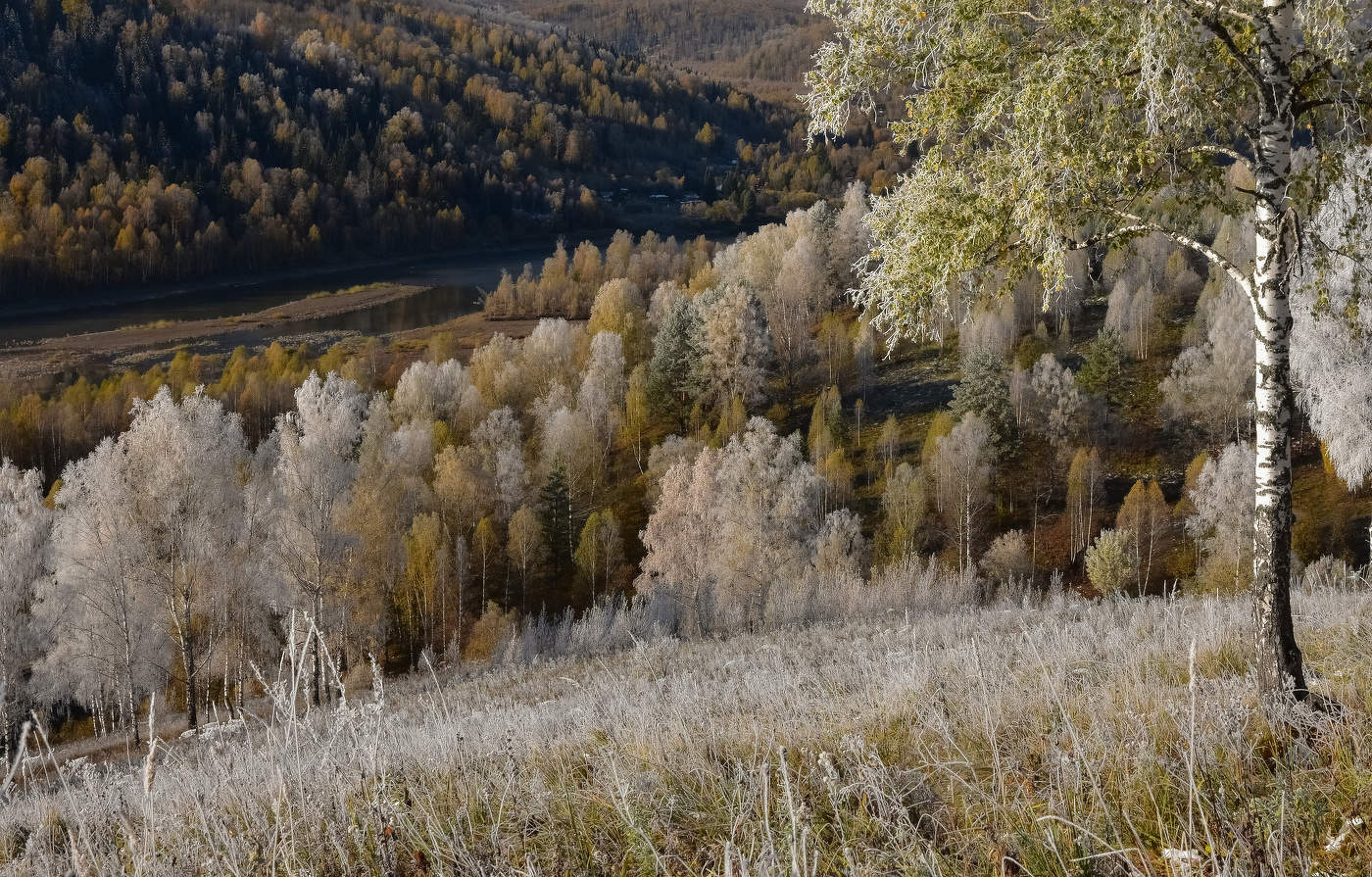 Поздняя осень иней