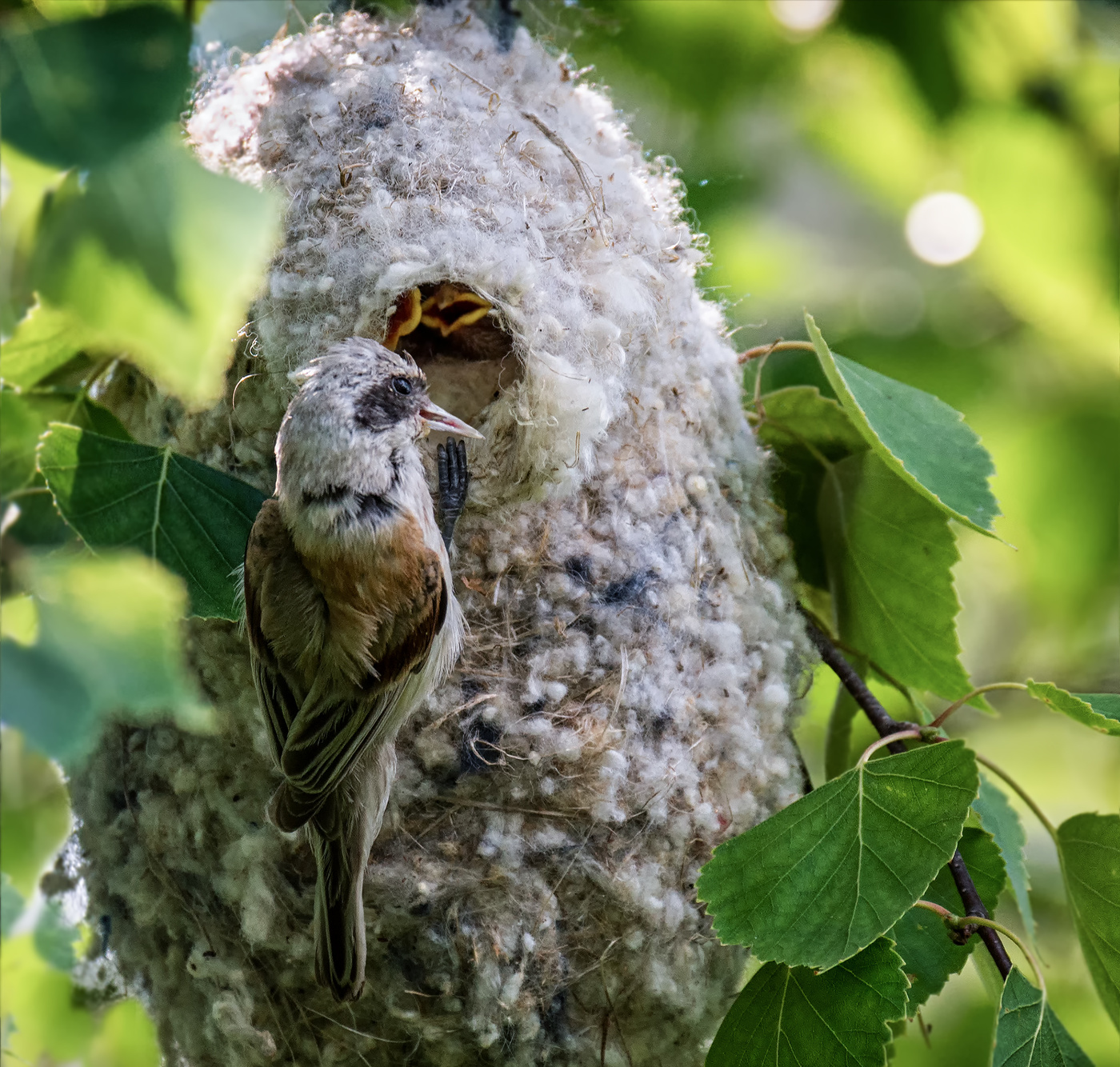 без улыбки невозможно.. )