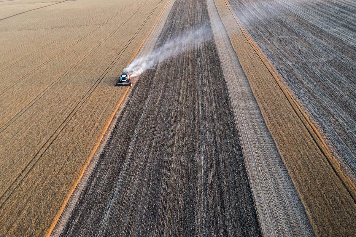 Битва за урожай