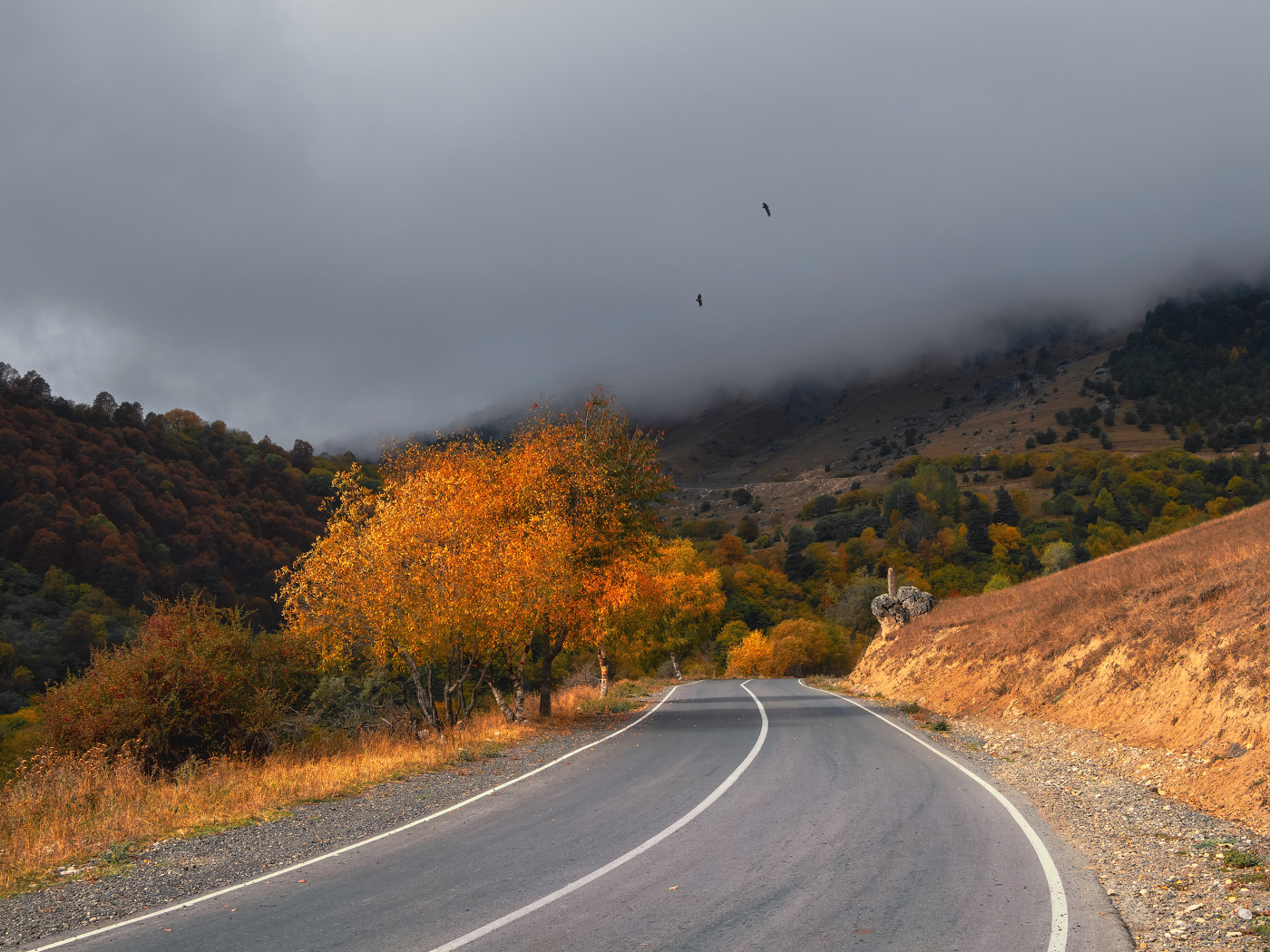 Осеннее шоссе через перевал.