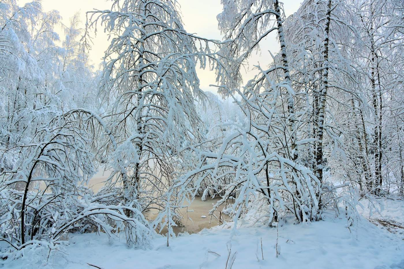 "Славный снег! Какая роскошь ..."