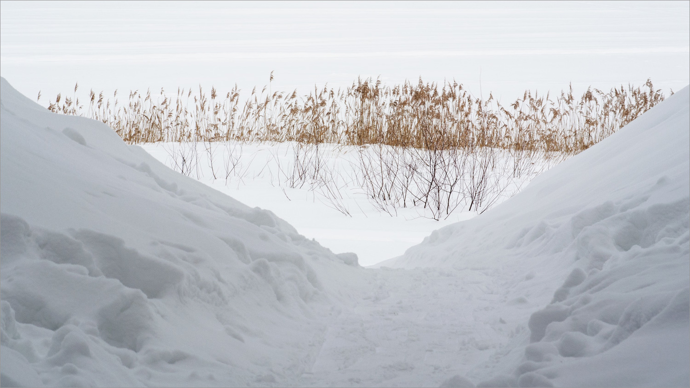 сердцу милых три угла